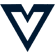 vuejs-icon