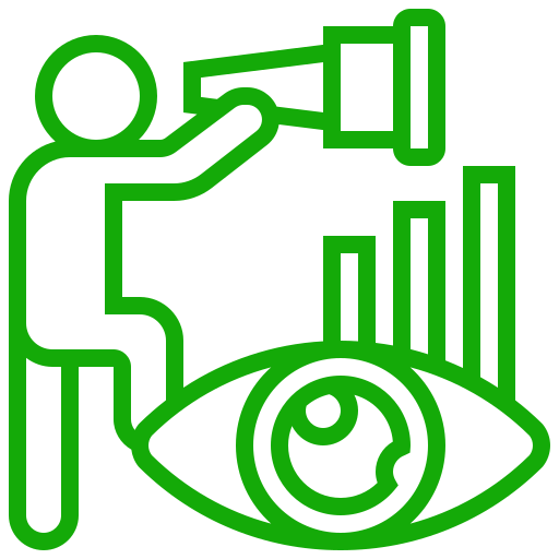 Our Vision